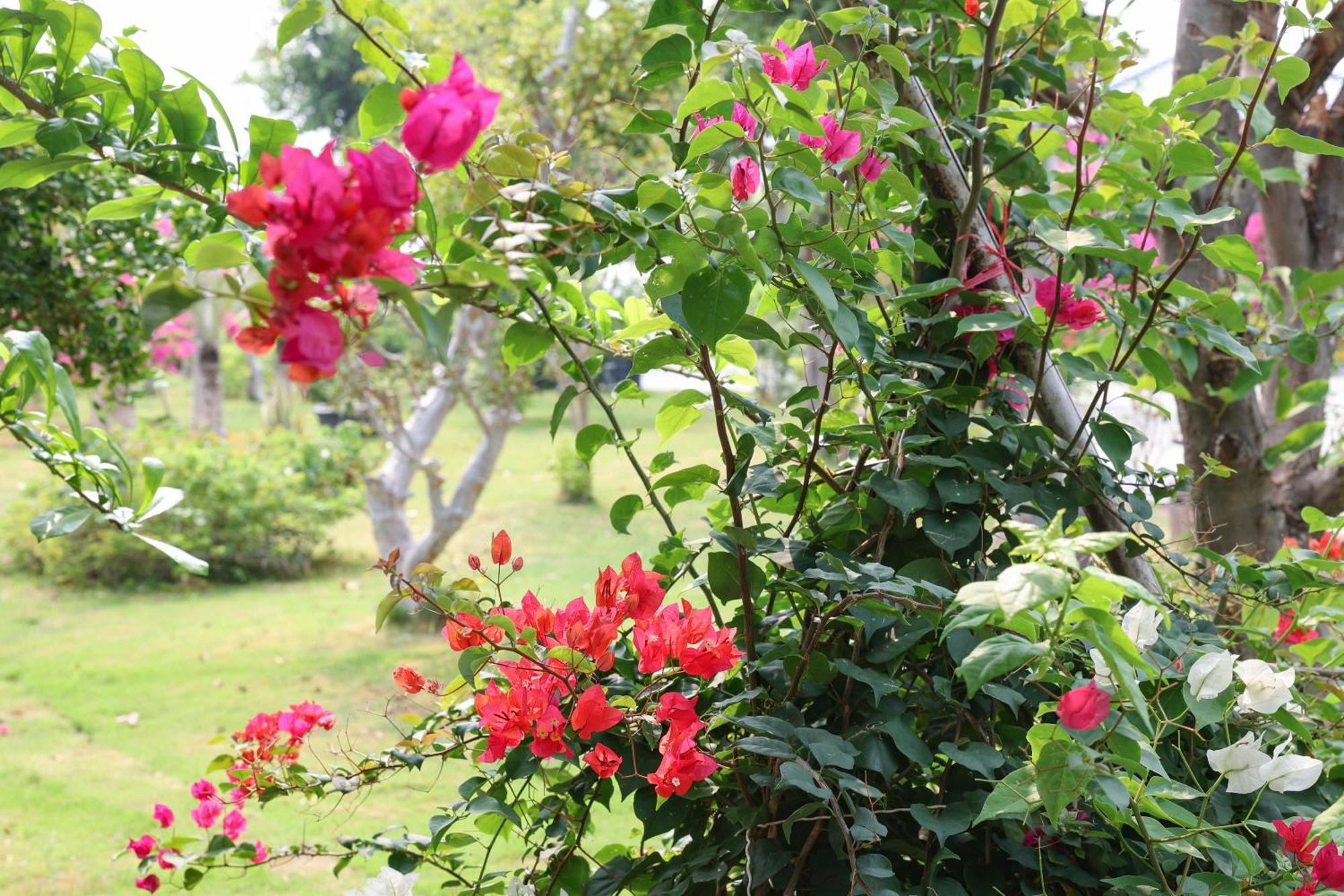 Hoan My Resort - Ninh Chu ฟานซาง ภายนอก รูปภาพ